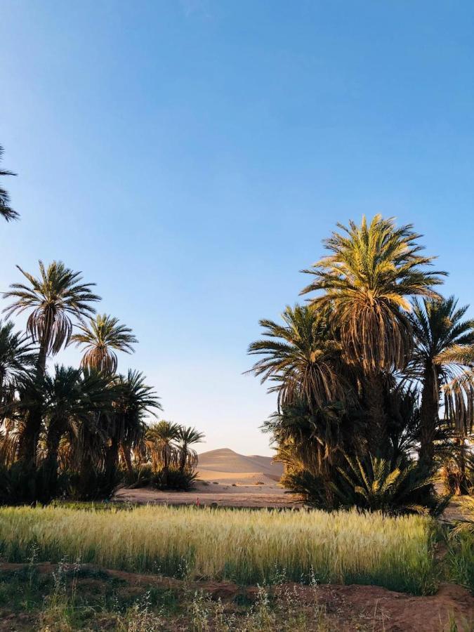 Camp Auberge Sahara Marokko M'Hamid Esterno foto